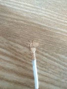 有这种端子的请联系