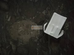 这款3孔，需要50000个，端子需要15万，有的联系