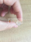 求购PVC 护线圈，50000个