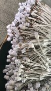 有焊锡外发（ 自己出锡丝 和烙铁头）， 在观澜