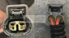 求购，各200个， 正仿品均可