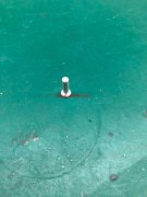 求购铆钉 铆钉尺寸12.6×3.45 半空心铆钉