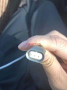 求购此款磁吸头,有现货的跟我联系