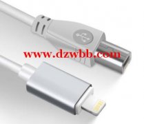 寻工厂做同款产品丶现金采购 前期3一5千条每种