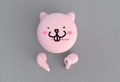 采购5款tws耳机。各10k