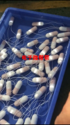 承接凤岗周边电子产品组装包装后焊