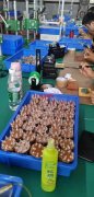 广西玉林专业承接电子Yan，烟雾弹加工，有专业机器
