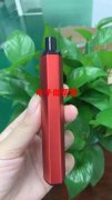 电子Yan工厂