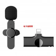 专业蓝牙音箱，麦口风，18617013963张生