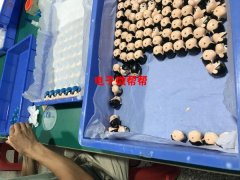 玩具组装，粘胶水及包装