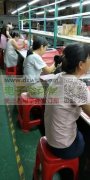 组装各种高端玩具产品