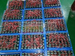 东莞市圆锂新能源专业承接各种18650及