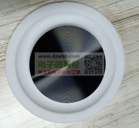 寻找：蓝牙音箱振动膜，要求跟图片一模一样