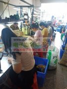 承接各类 玩具 电子产品  焊锡  打螺丝   组装  包装