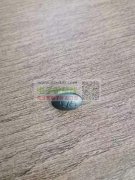 寻找这款端子头成品，有的联系