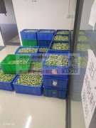 深圳市东映商务科技有限公司东黎手工团队