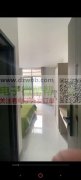全深圳公寓，小区。接工厂宿舍，个人租房