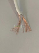 采购2芯typec 1米，月用量10万条