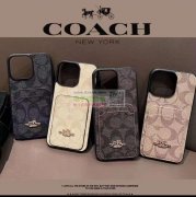 求购如图手机壳和支架，有量！