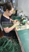 焊锡熟手多名。