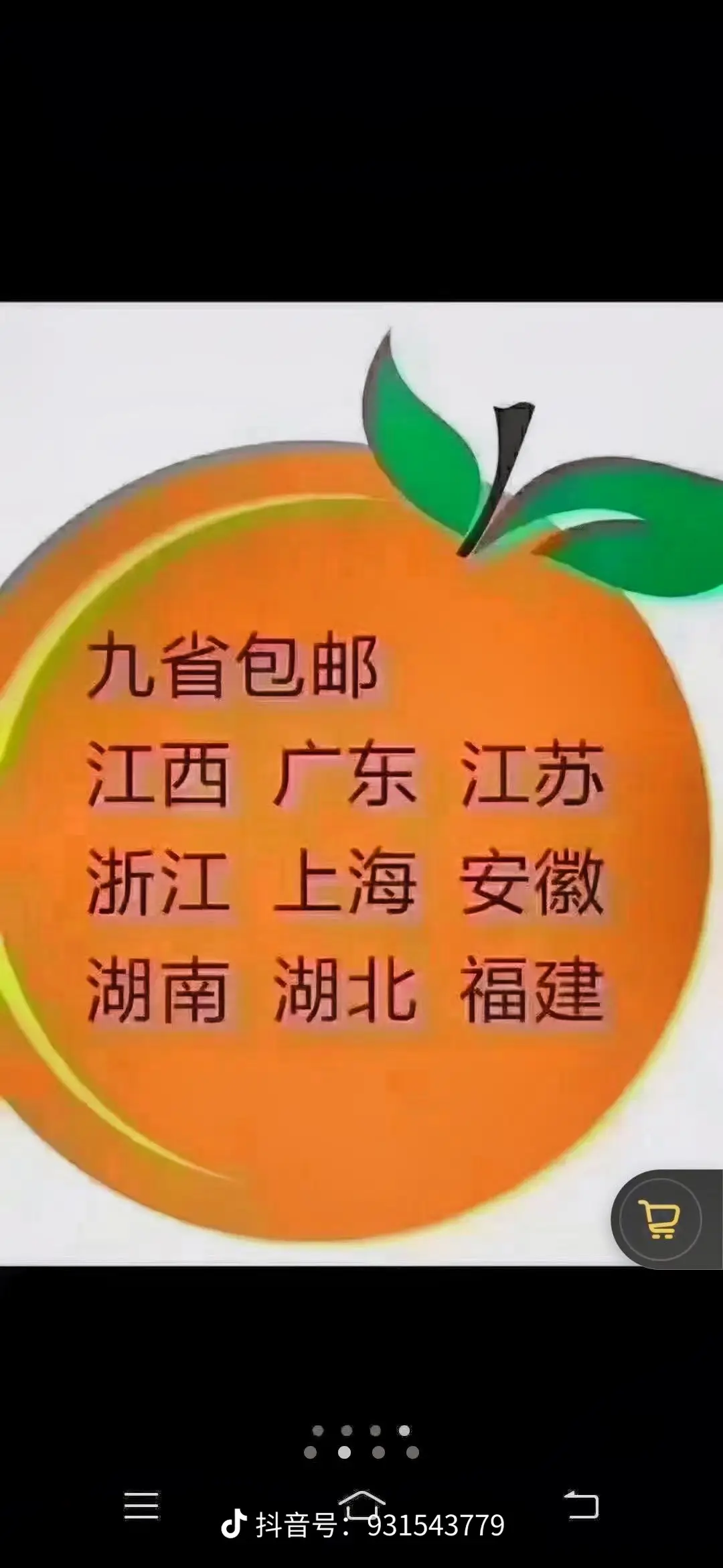 赣南脐橙