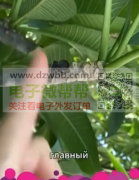 谁家有这个摄像头，实单求购！