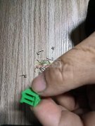 电子元件.PCB板.纸箱的源头工厂请联系我！