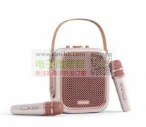 寻找类似款带麦克风私模音箱，有做的厂家私聊一下我！
