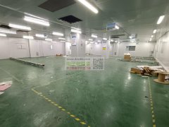 坂田上雪科技园厂房出租