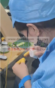 油杯4个点，可以日结或15天结，长期有做得！