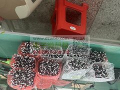 惠州市惠城区后焊加工厂