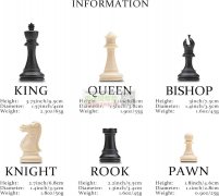 塑料材质的国际象棋，做过的厂家请联系！