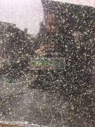 花岗岩大理石厂家请联系，实单30个集装箱！