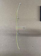 月用量300000条 ，灯线厂家请联系！