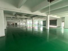 10块一平凤岗黄洞楼上厂房两层1000—1600平带装修