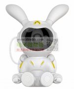 求购图片款星空投影灯，非厂家勿扰！