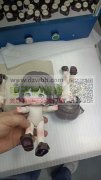 寻人物公仔设计，开发，打样